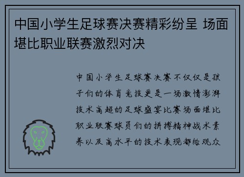 中国小学生足球赛决赛精彩纷呈 场面堪比职业联赛激烈对决